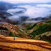 Jinkeng Rice Fields