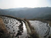 Jinken Rice Fields 