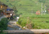 Jinkeng Rice Fields 