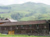 Jinkeng Rice Fields 