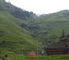 Jinken Rice Fields 