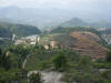 Jinken Rice Fields 